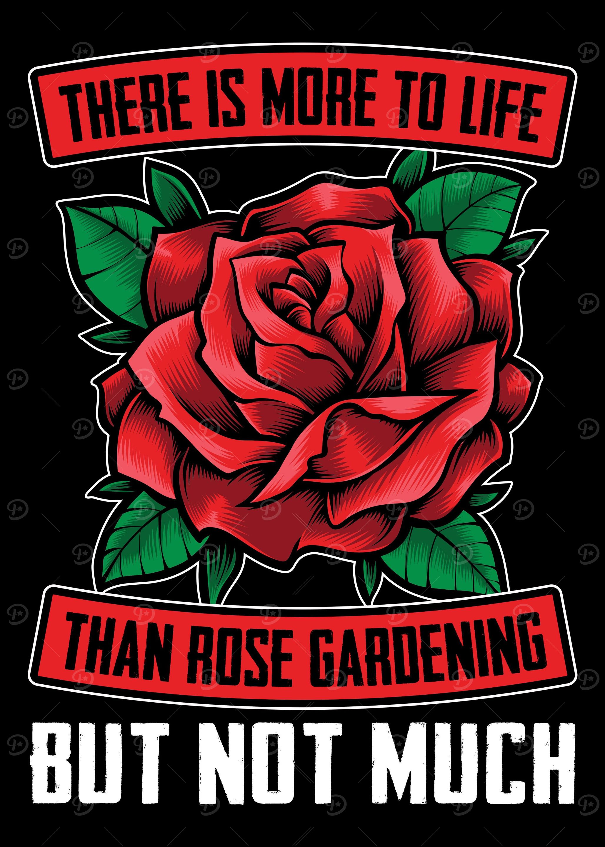 Rose Garden Roses