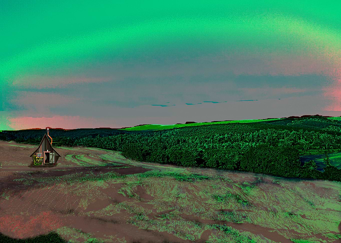 Eucalyptus Valley