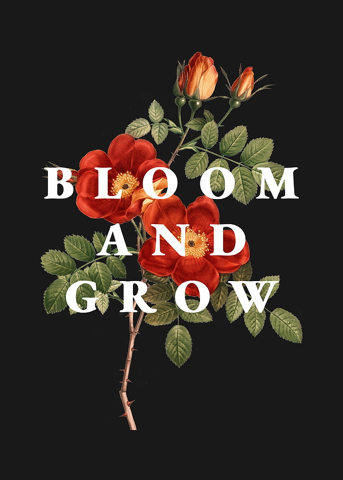 Bloom and Grow