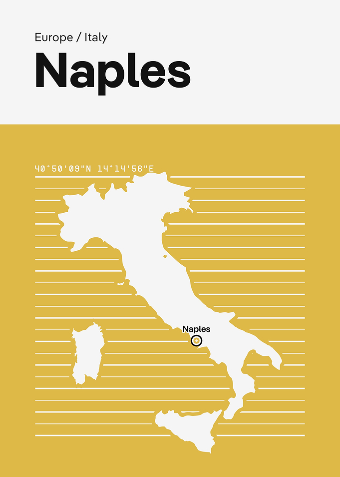 Naples City Map