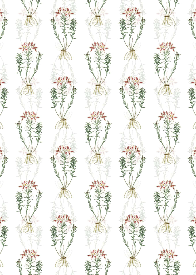 Lily of the Incas Pattern