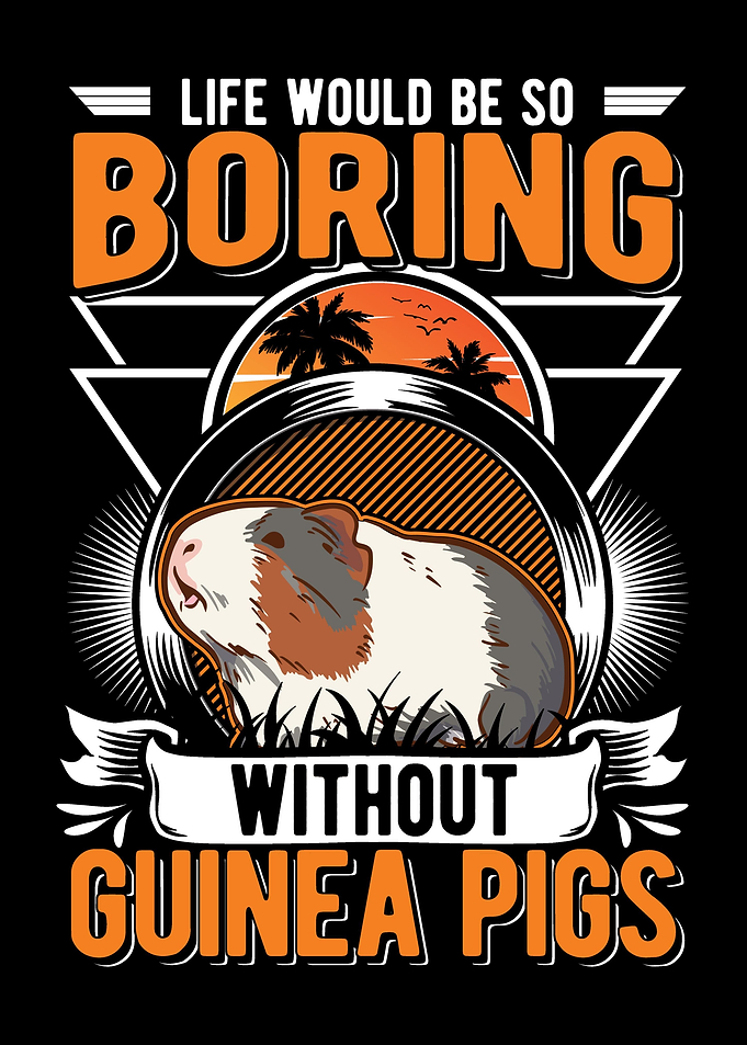 Guinea Pig Gift