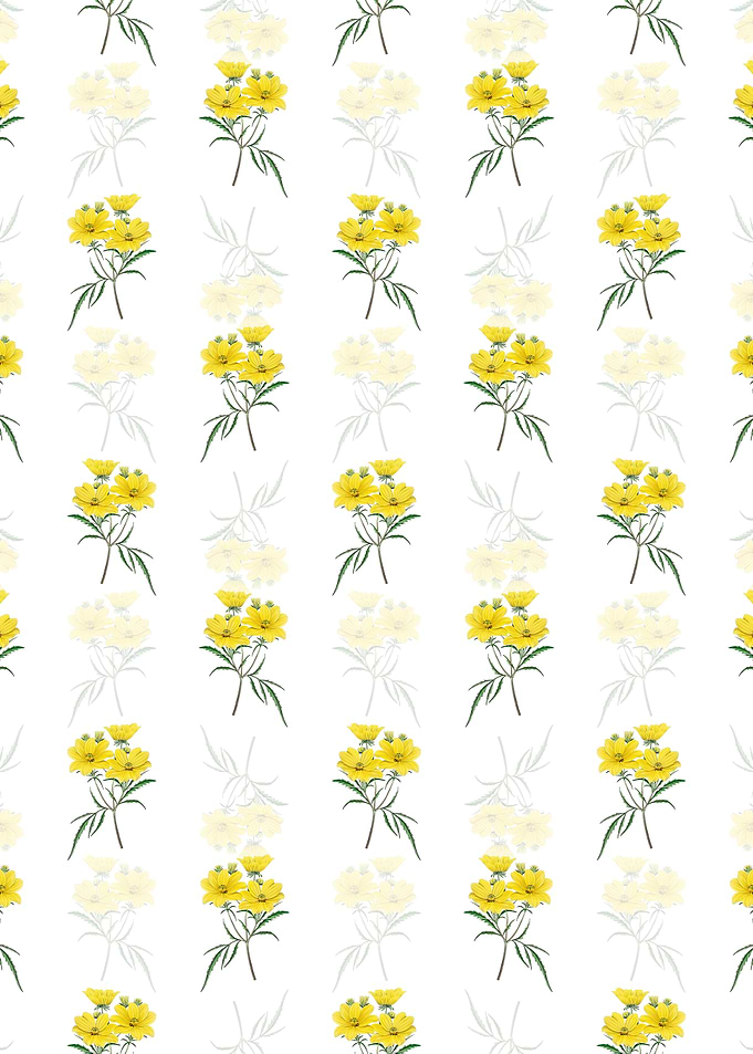 Golden Coreopsis Flower