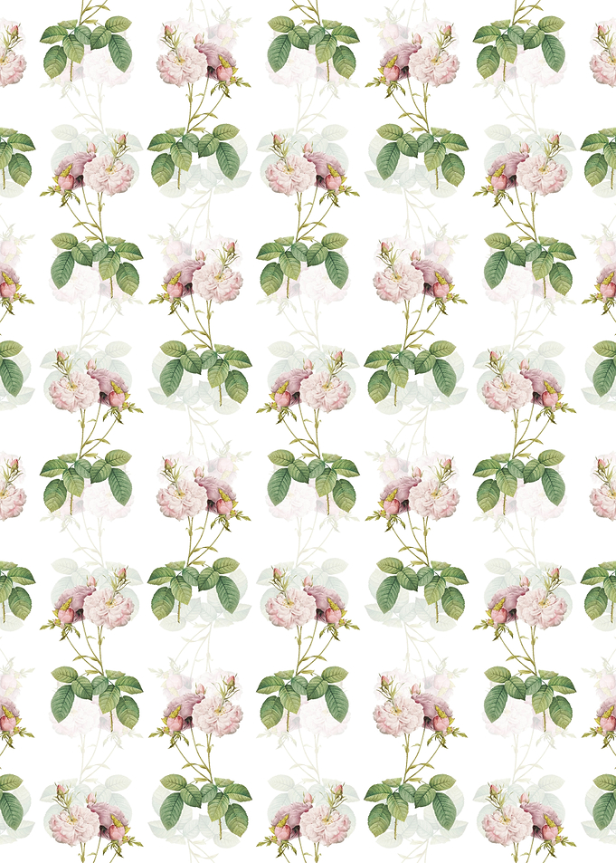 Floral Damask Rose Pattern