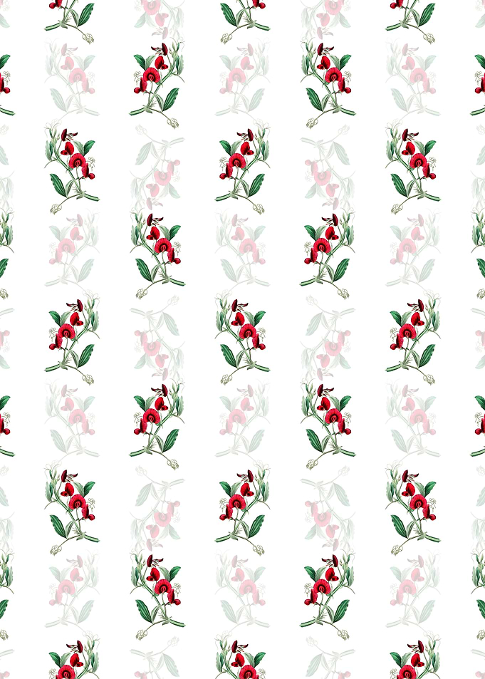 Tangier Pea Flower Pattern