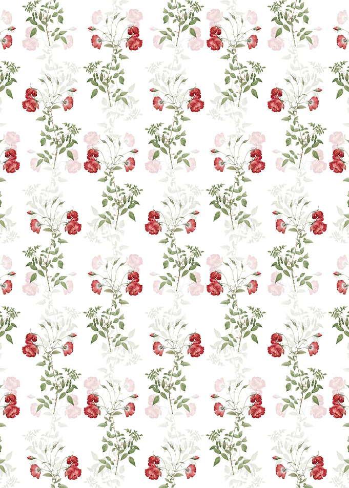 Floral Red Rose Pattern