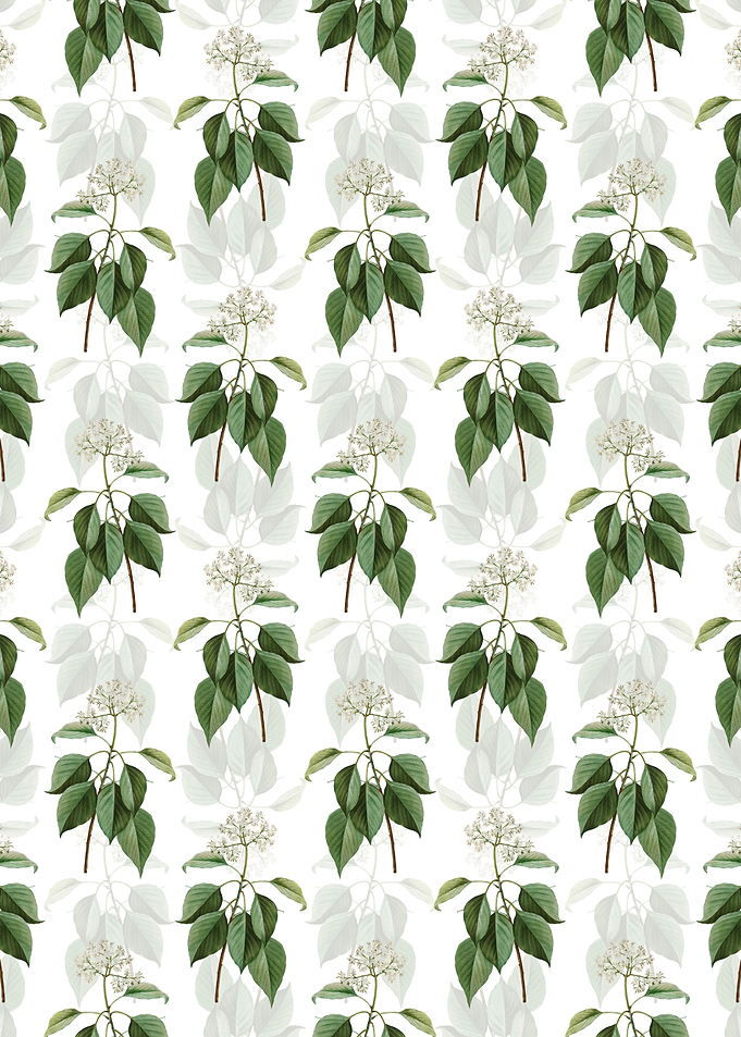 Pagoda Dogwood Pattern