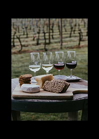 Wine Alcohol