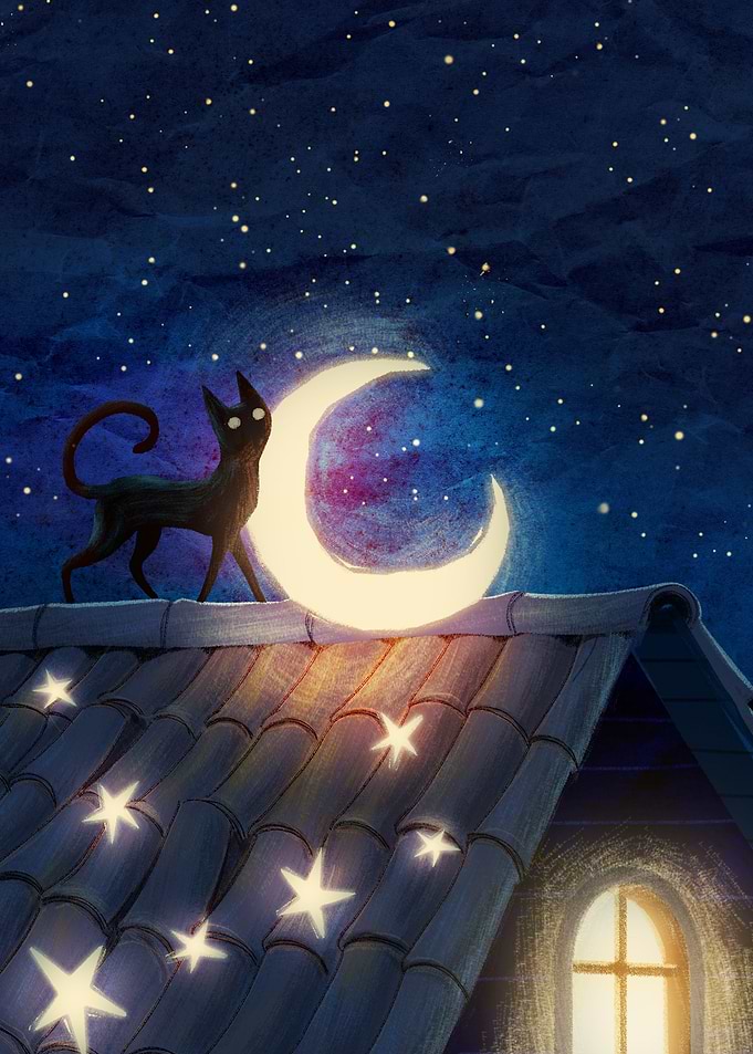 Cat on the roof