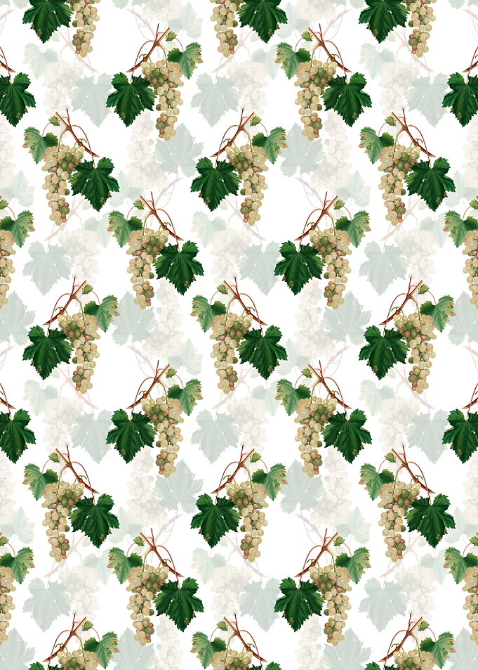 White Muscat Grape Pattern