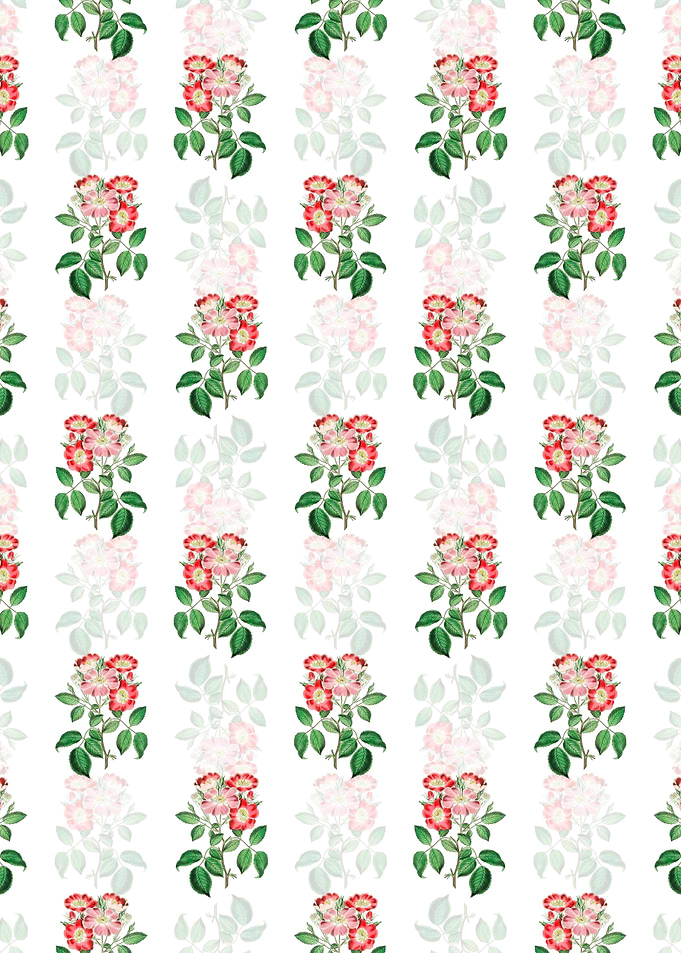 Rose Clare Flower Pattern