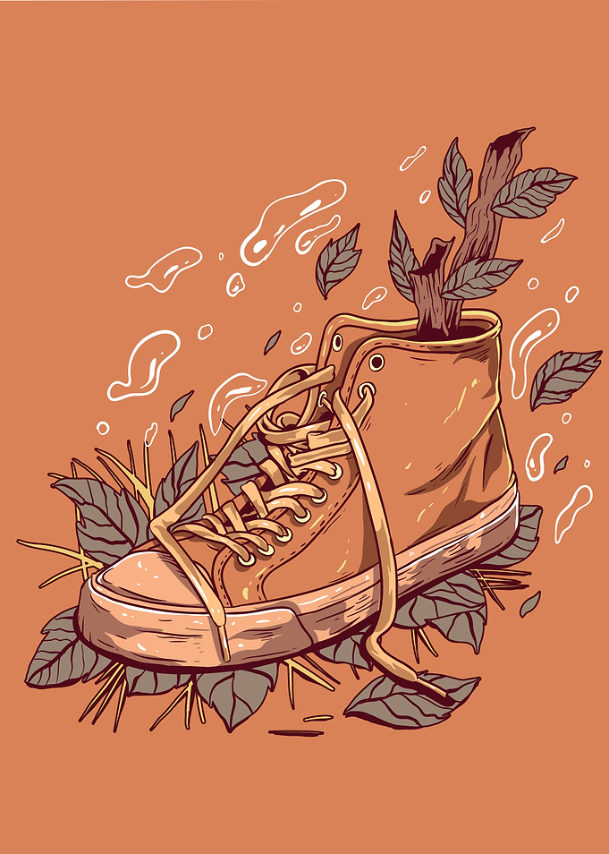 Brown Shoe