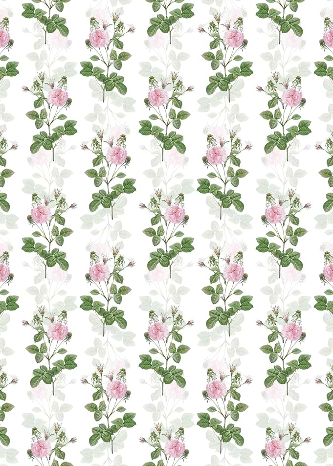 Pink Agatha Rose Pattern