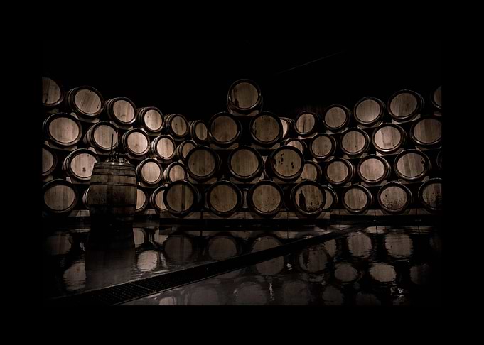Wine Alcohol