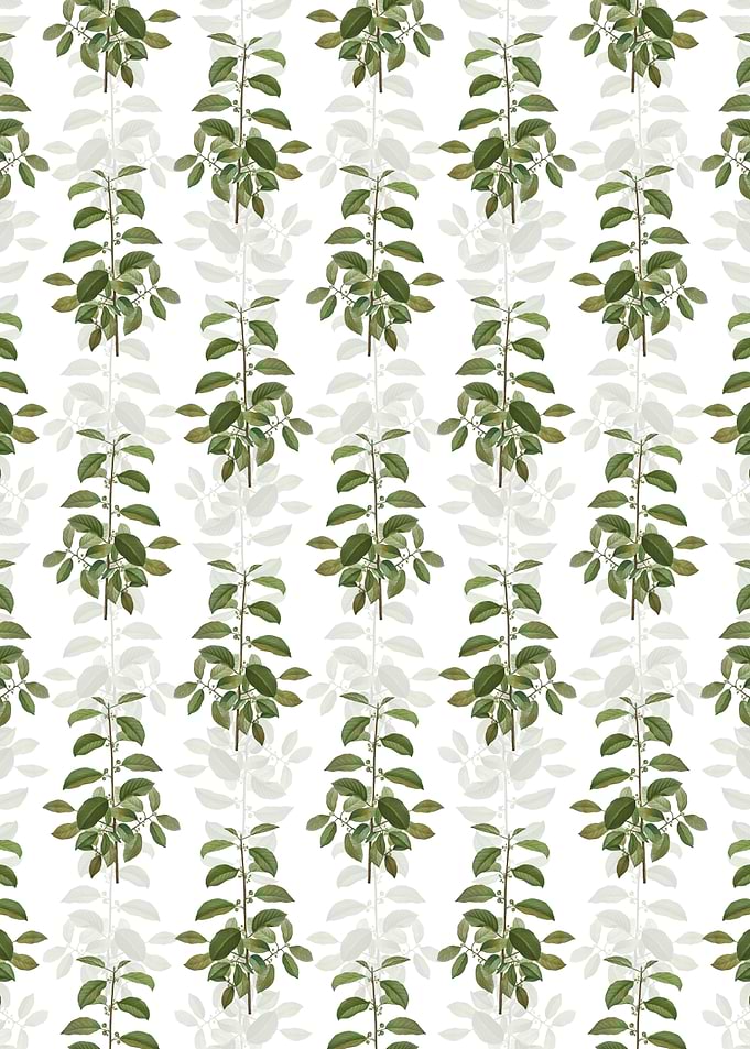 Alder Buckthorn Pattern