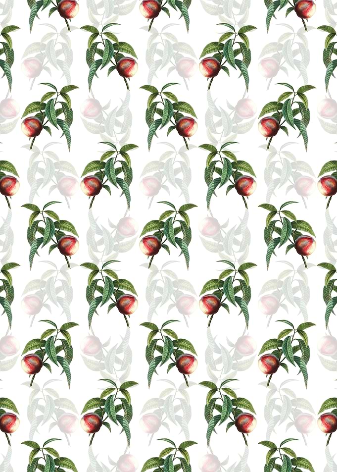 White Floral Peach Pattern