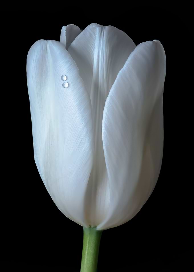 Two Drops