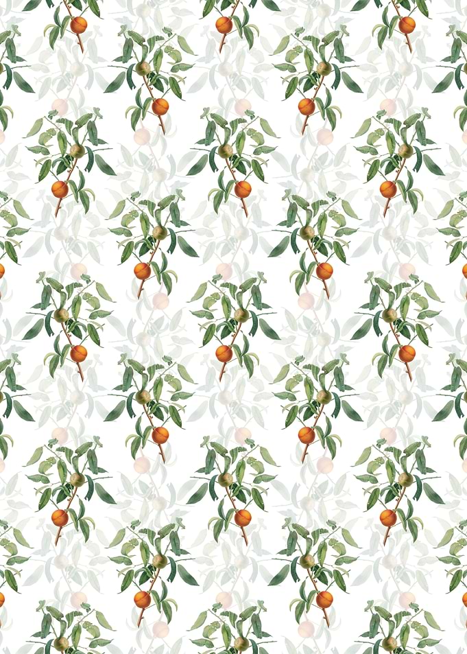 White Floral Peach Pattern