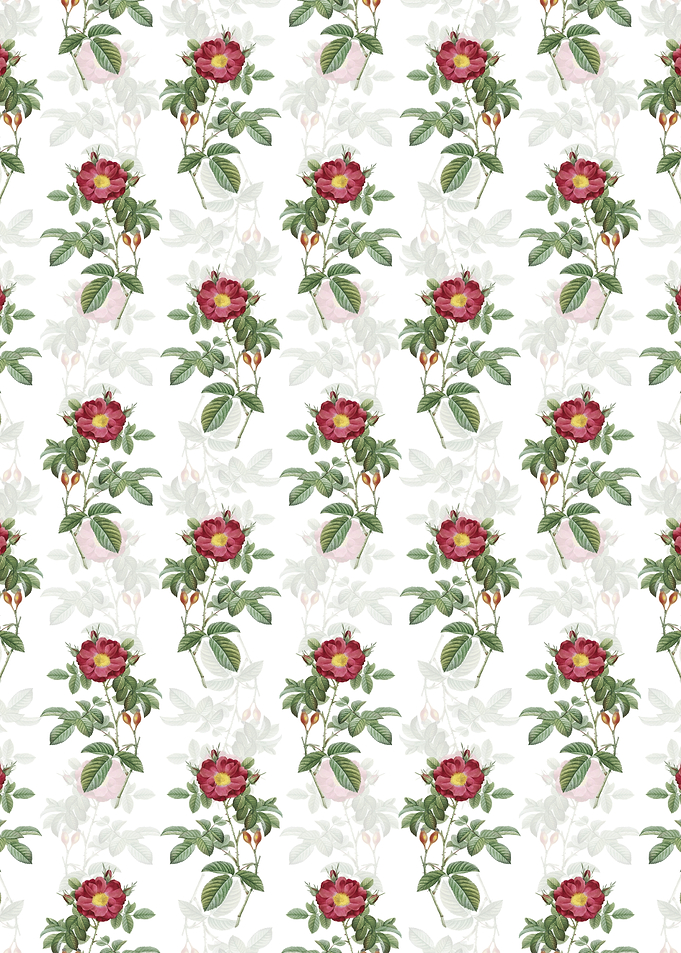 Red Portland Rose Pattern