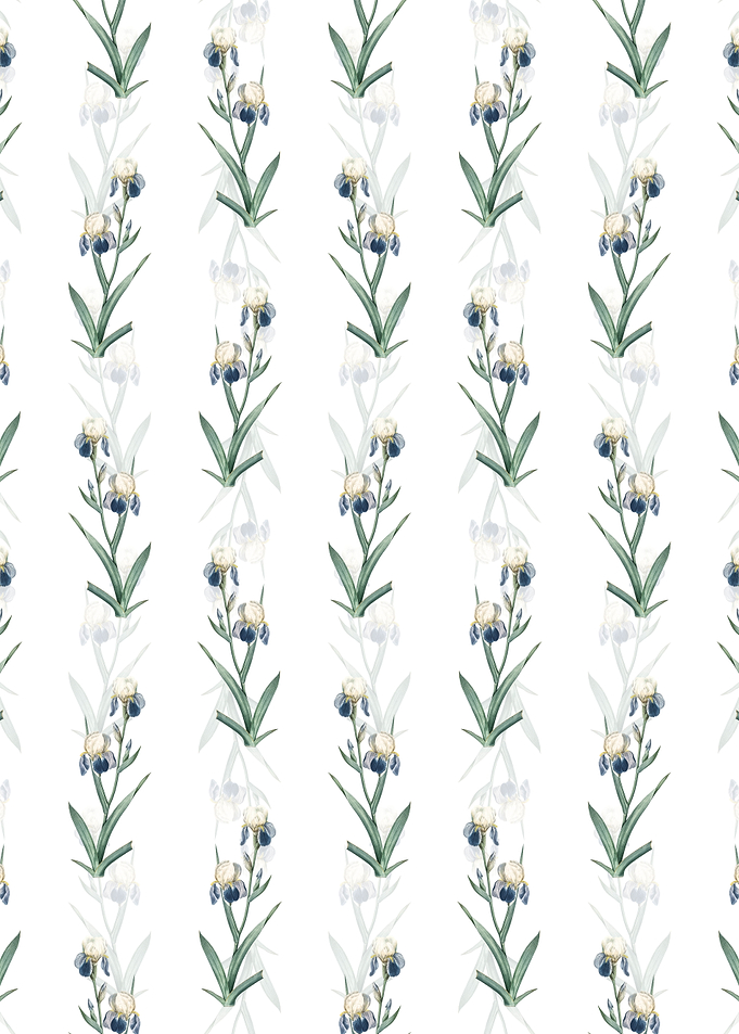 Elder Scented Iris Pattern