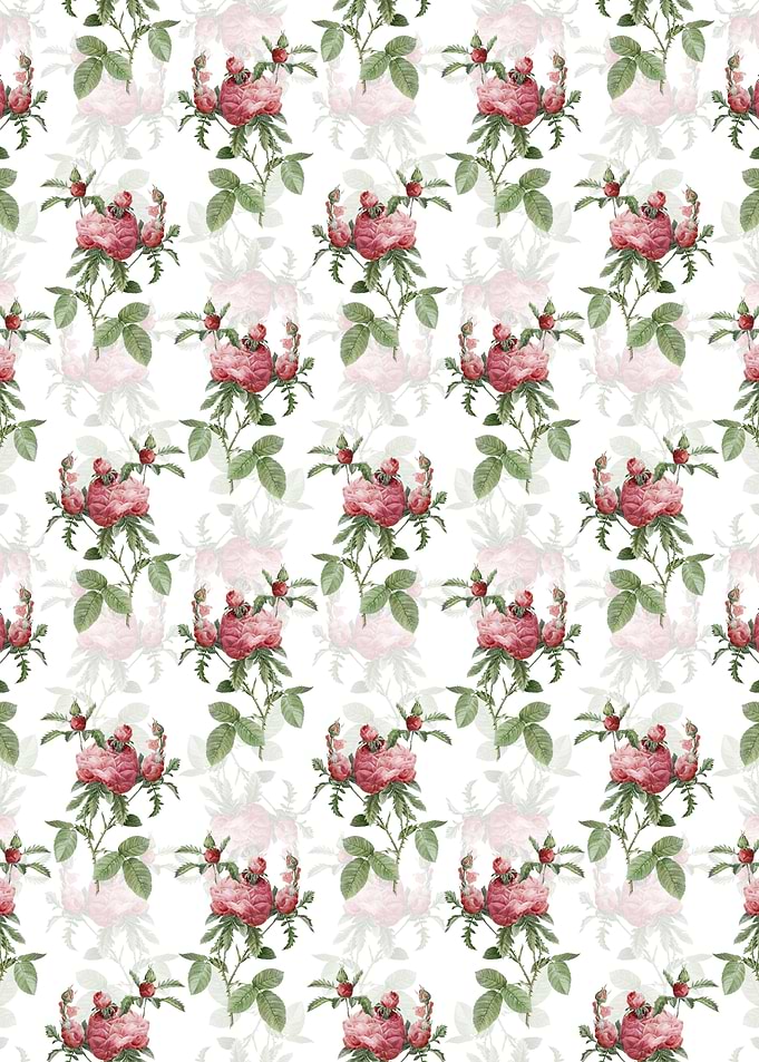 White Cabbage Rose Pattern
