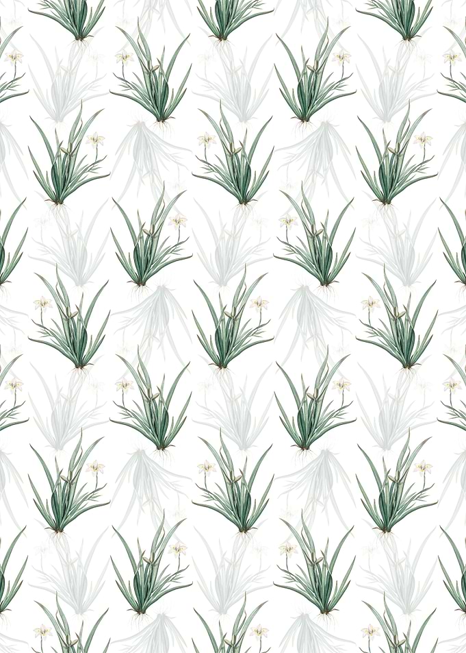 White Floral Lily Pattern