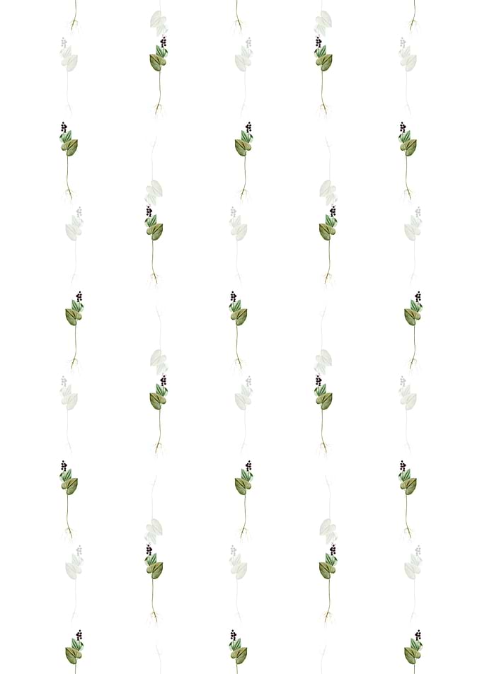 Floral Mayanthemum Pattern