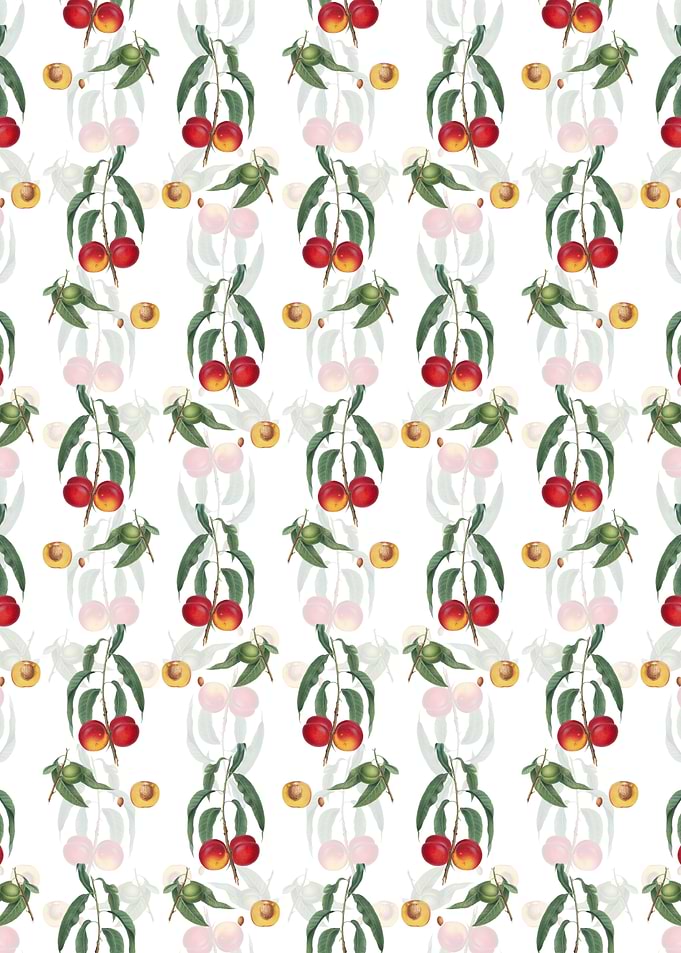 White Walnut Peach Pattern