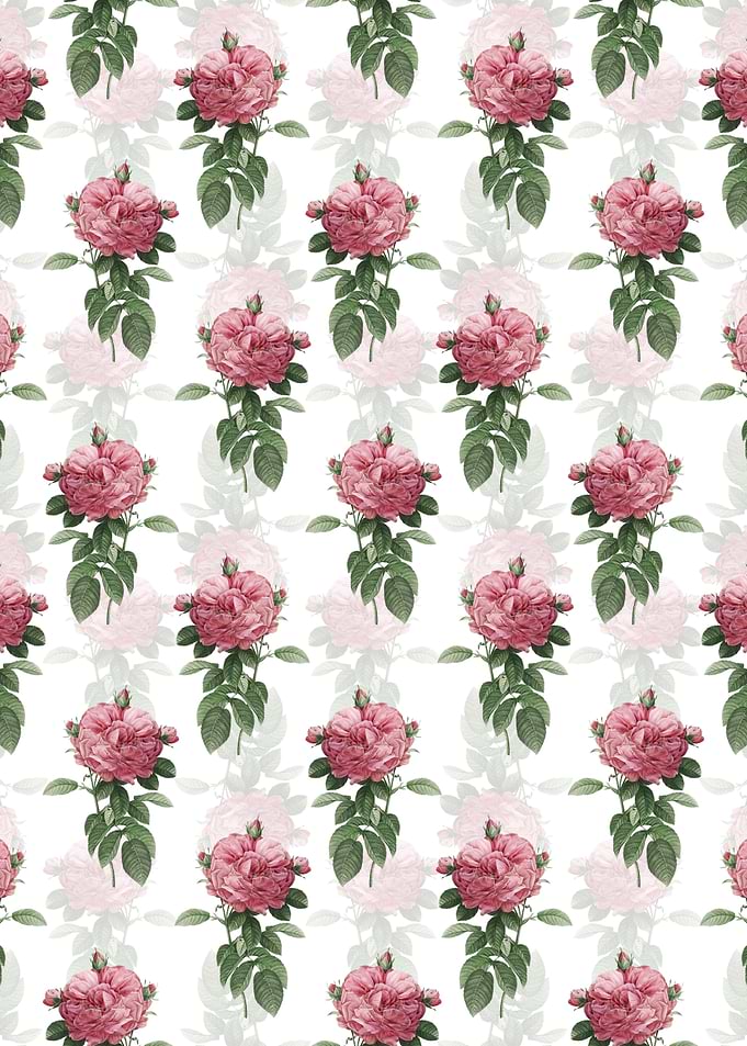 Giant French Rose Pattern