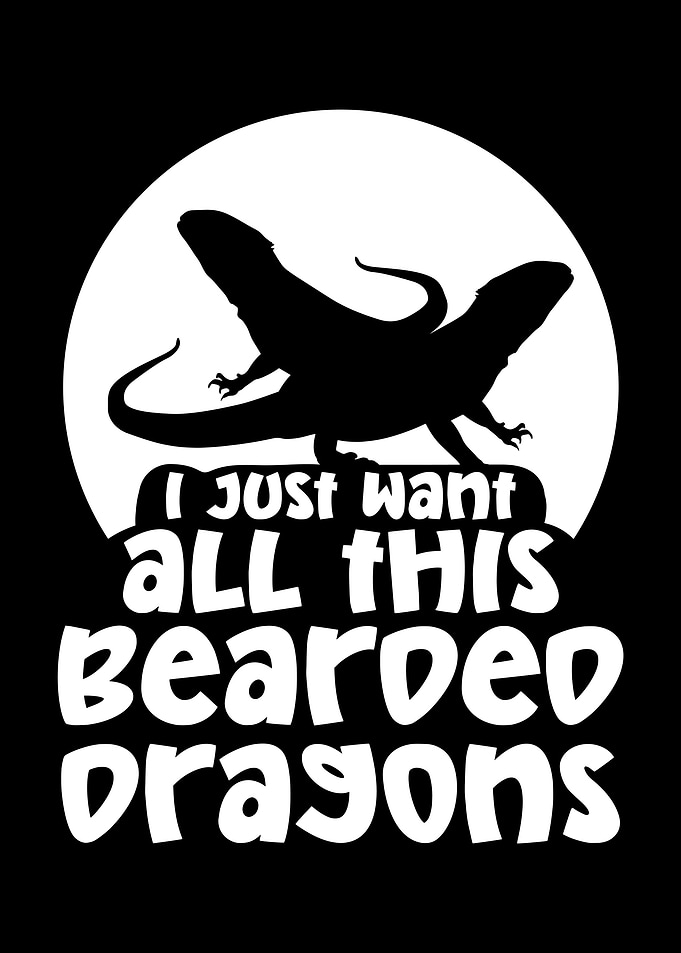 Bearded Dragon