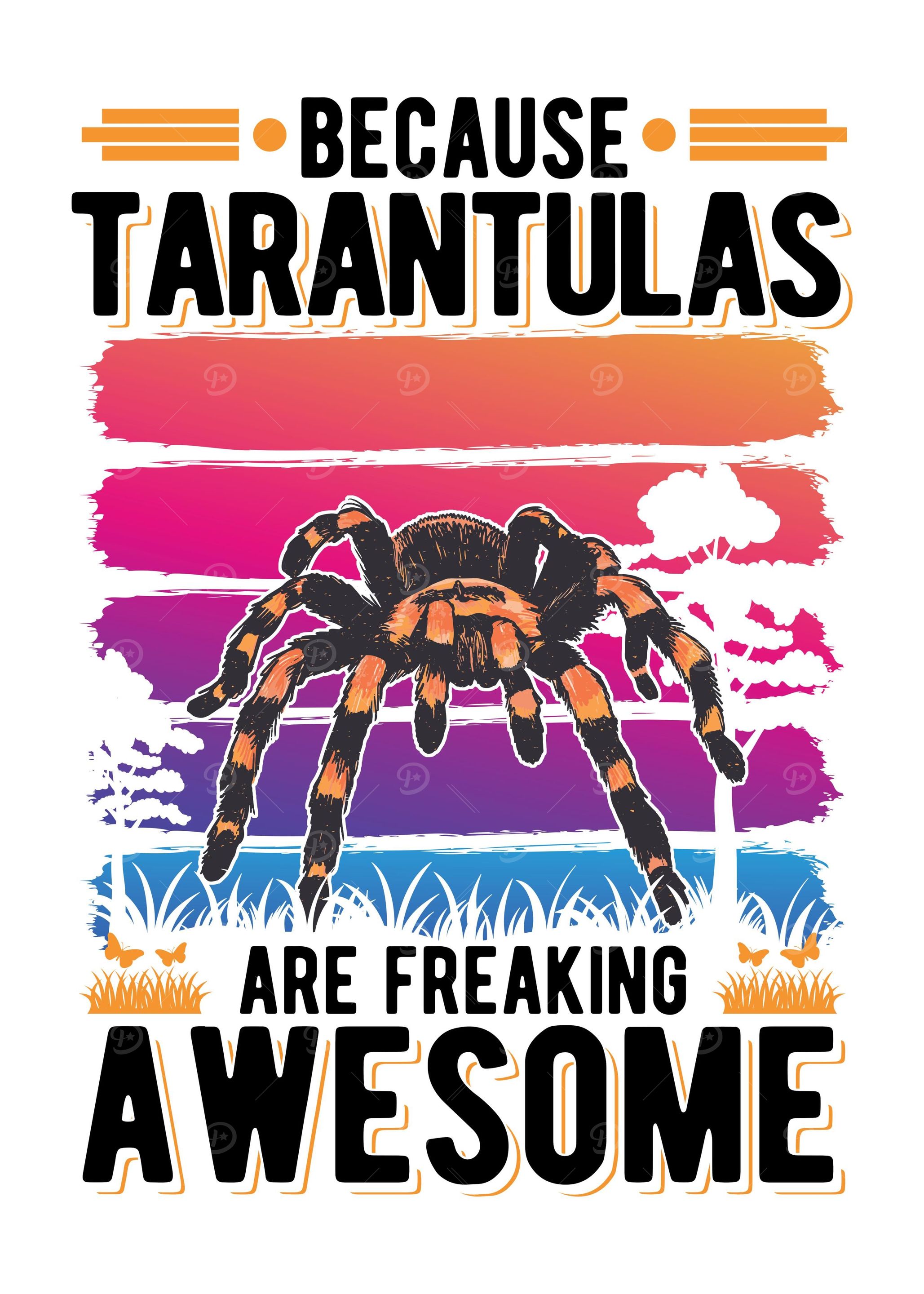 Tarantula Gift