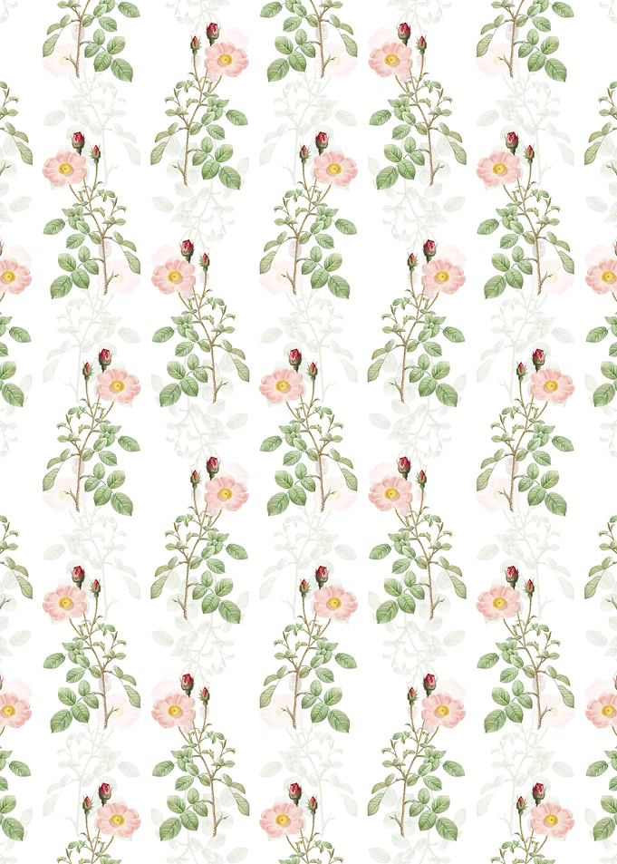 Sparkling Rose Pattern