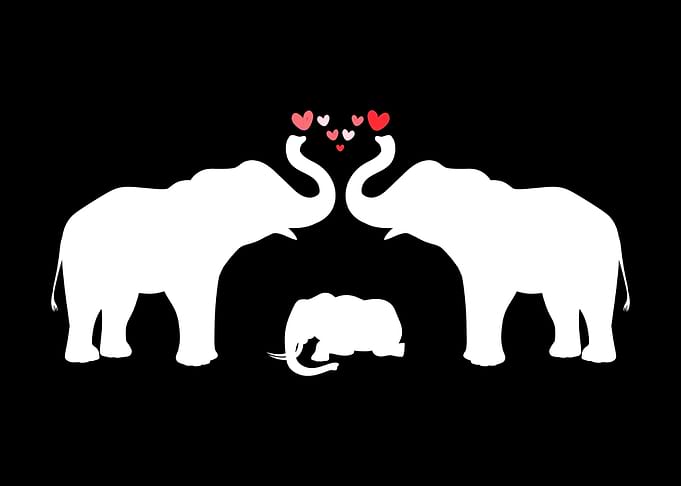 Elephant Parents Mom