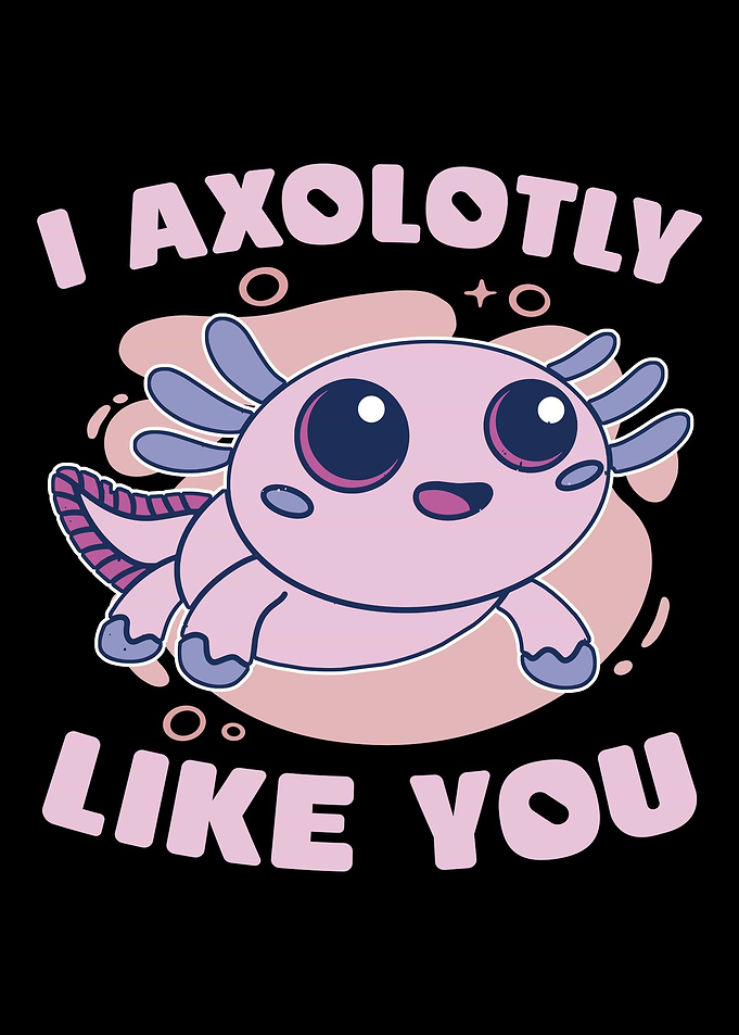 Axolotl Salamander