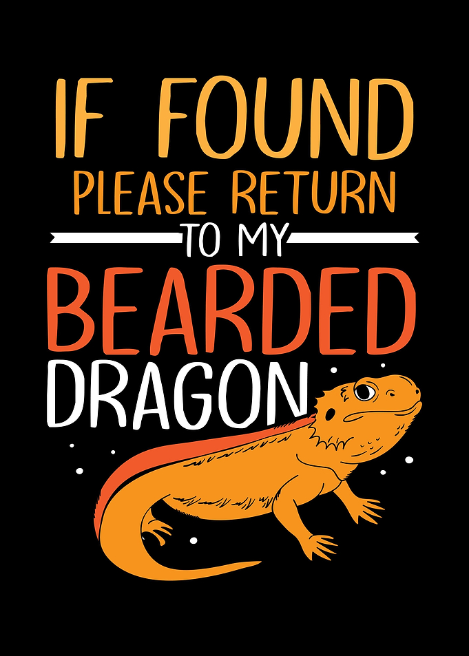 Bearded Dragon