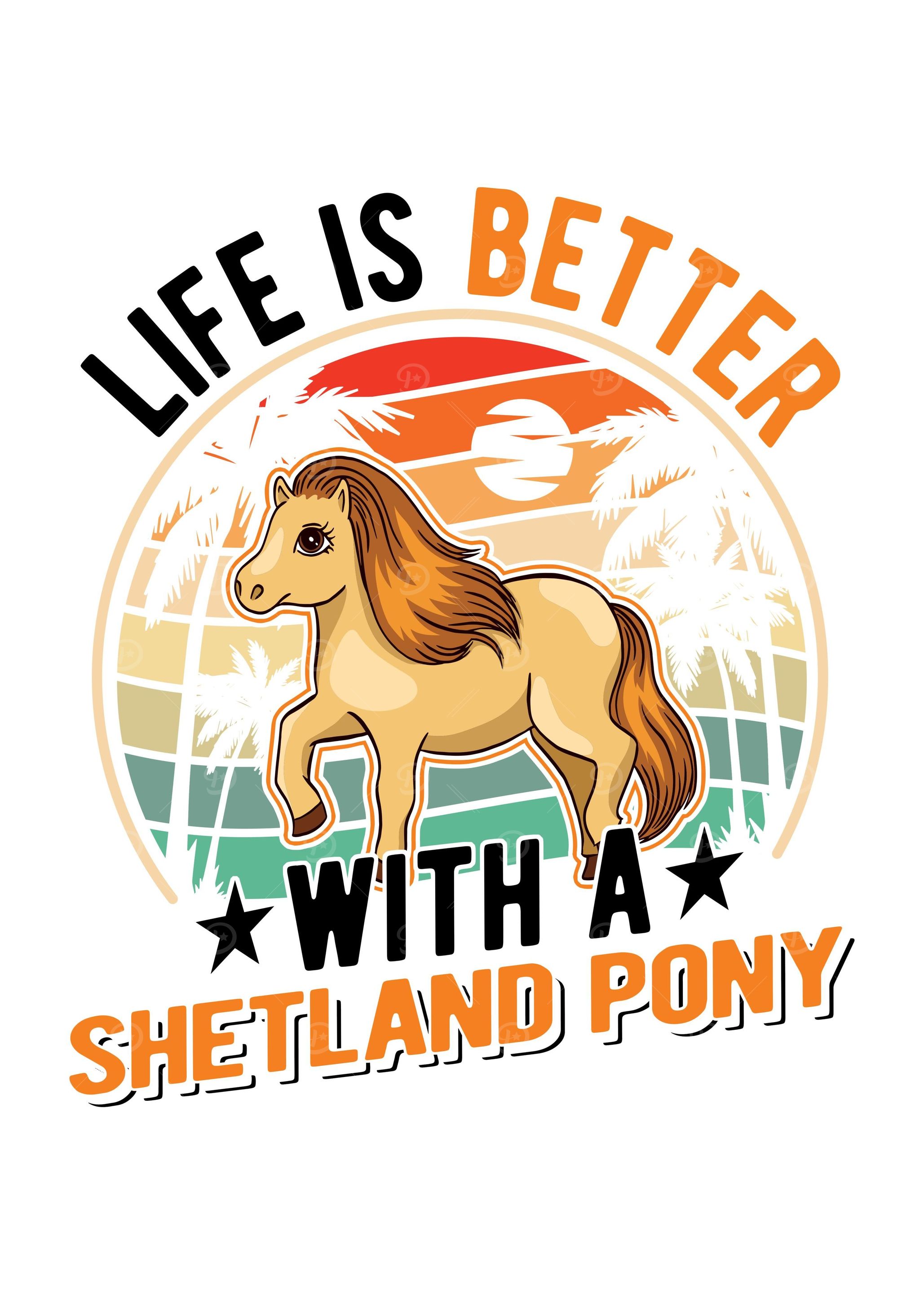 Shetland Pony Shetty