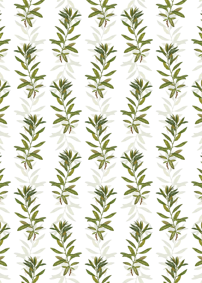 Floral Rhodora Pattern