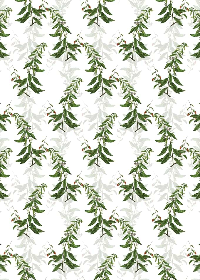 Goji Berry Tree Pattern