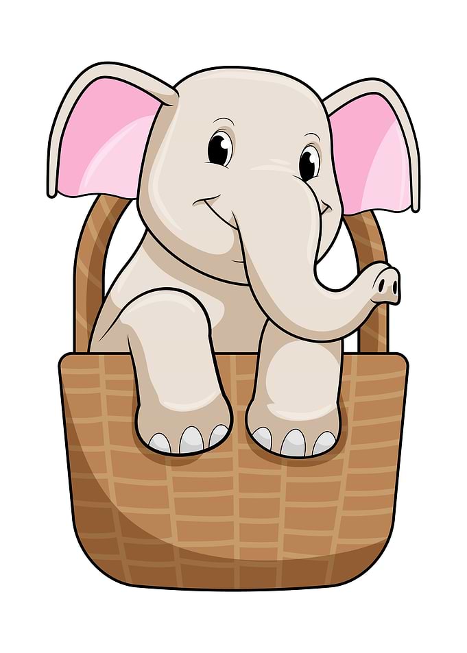 Elephant Basket