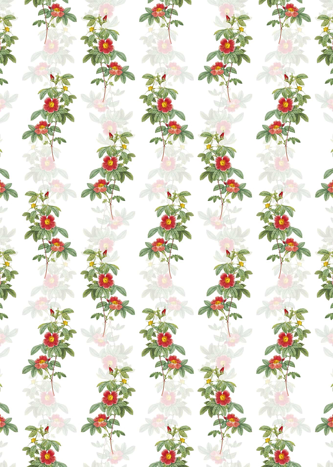 Single May Rose Pattern