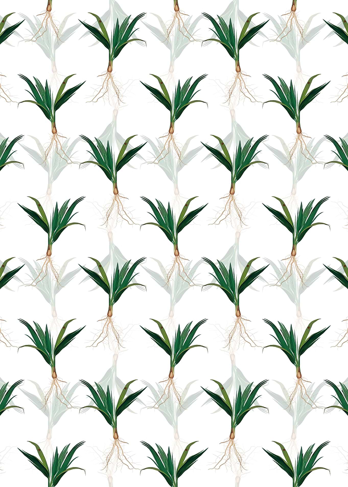Date Palm Tree Pattern