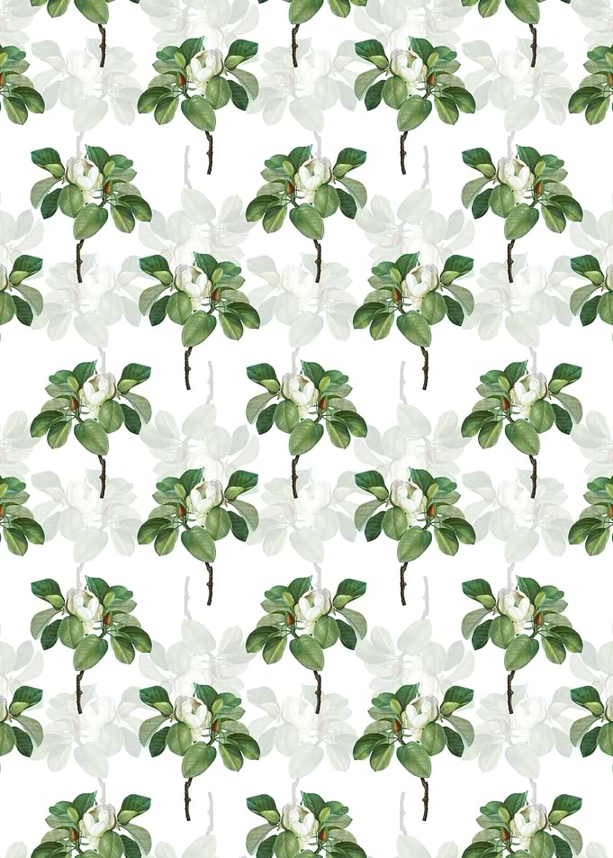 Magnolia Elegans Pattern