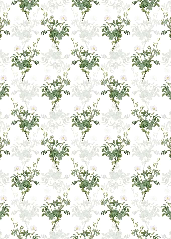 White Downy Rose Pattern