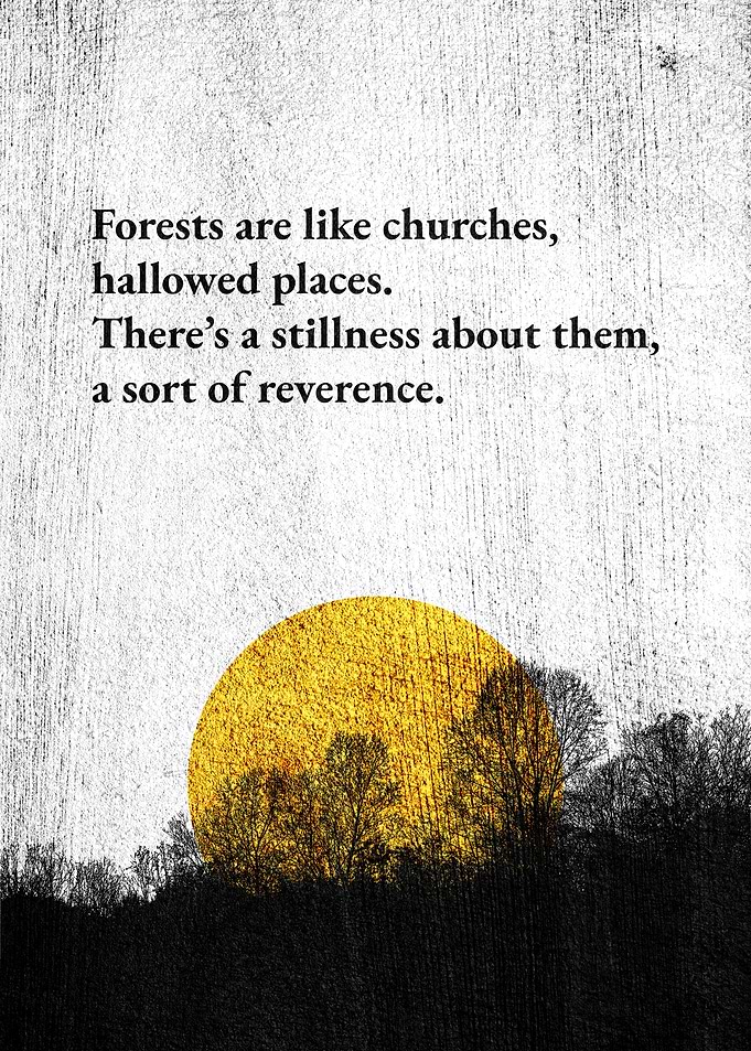 Forests