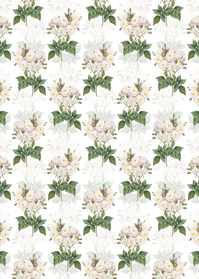Noisette Roses Pattern