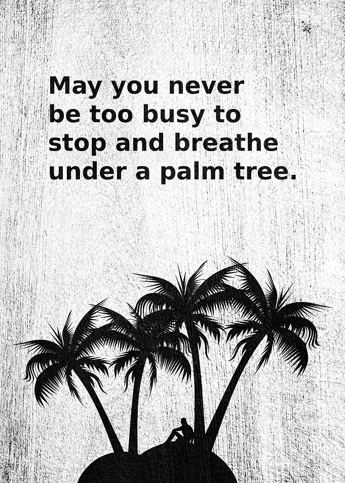 Rest Under the Palm Trees