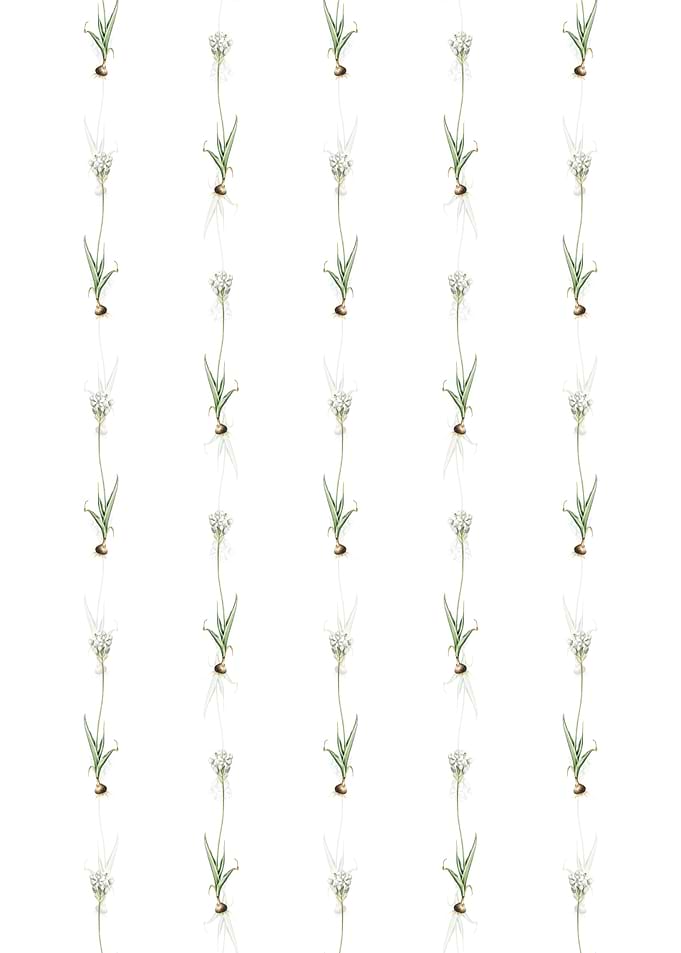 Chincherinchee Pattern