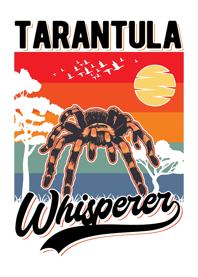 Tarantula Gift
