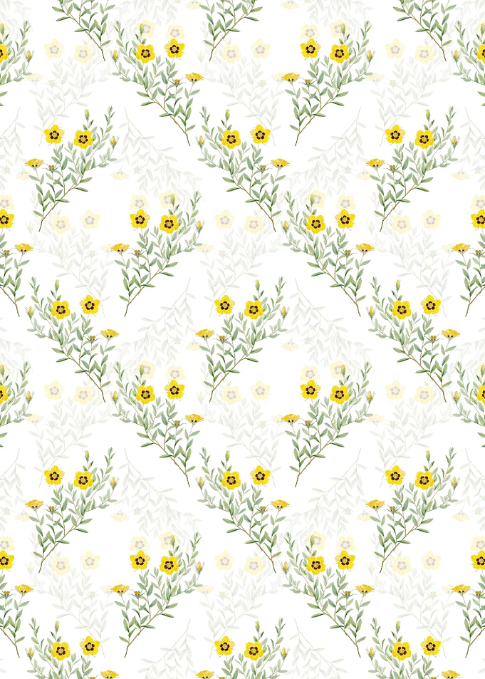 White Rosa Persica Pattern