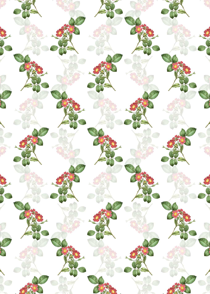 White Redleaf Rose Pattern